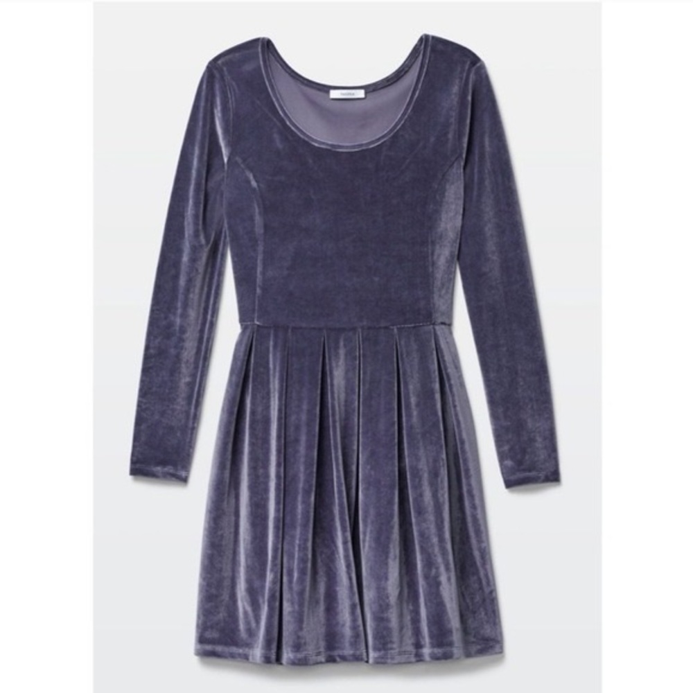 Aritzia Talula Lambeth Velvet Dress